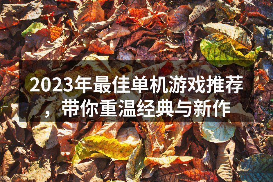 2023年最佳单机游戏推荐，带你重温经典